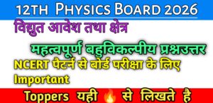Class 12 Physics chapter 1 important MCQ