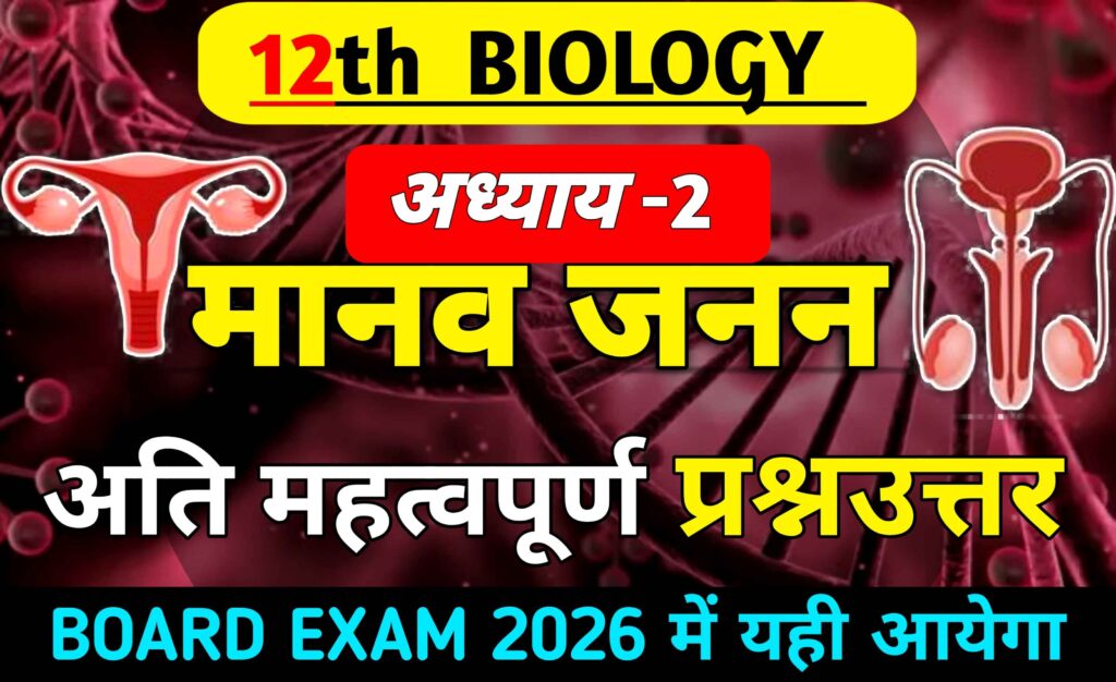 Class 12 Biology Chapter 2 मानव जनन Important Questions in Hindi