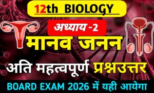 Class 12 Biology Chapter 2 मानव जनन Important Questions in Hindi