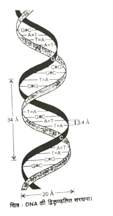 class 12 chemistry chapter 10 important questions in hindi